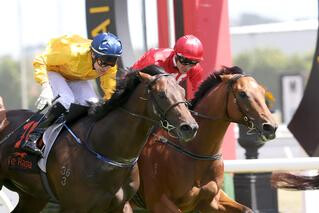 Karaka Graduate Volkstok’n’barrell (NZ) Claims Fourth Group 1 Win. Photo: Trish Dunell.